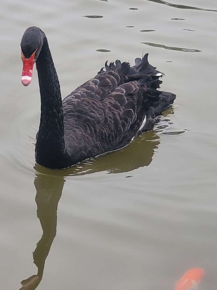 Foto de perfil de Josema