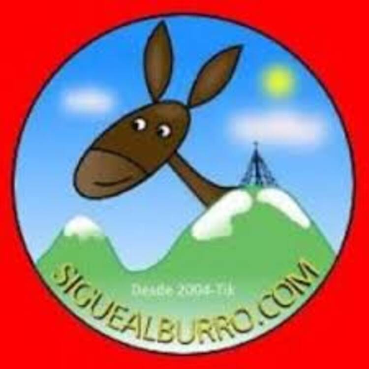 siquealburro.com