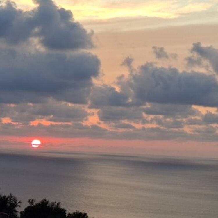 Foto de perfil de Patxi