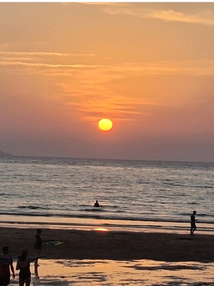 Foto de perfil de IPOTX