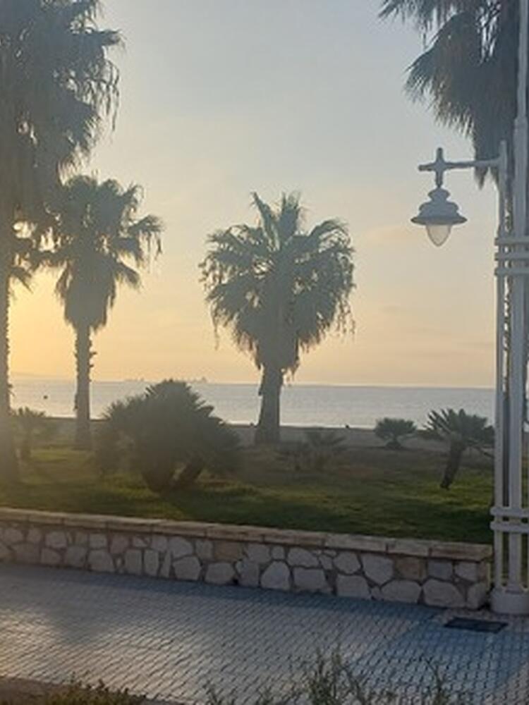 Foto de perfil de Nuria