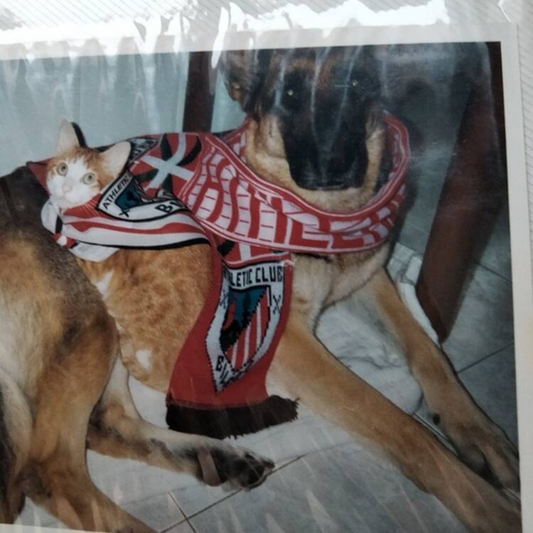 Foto de perfil de TXEMA