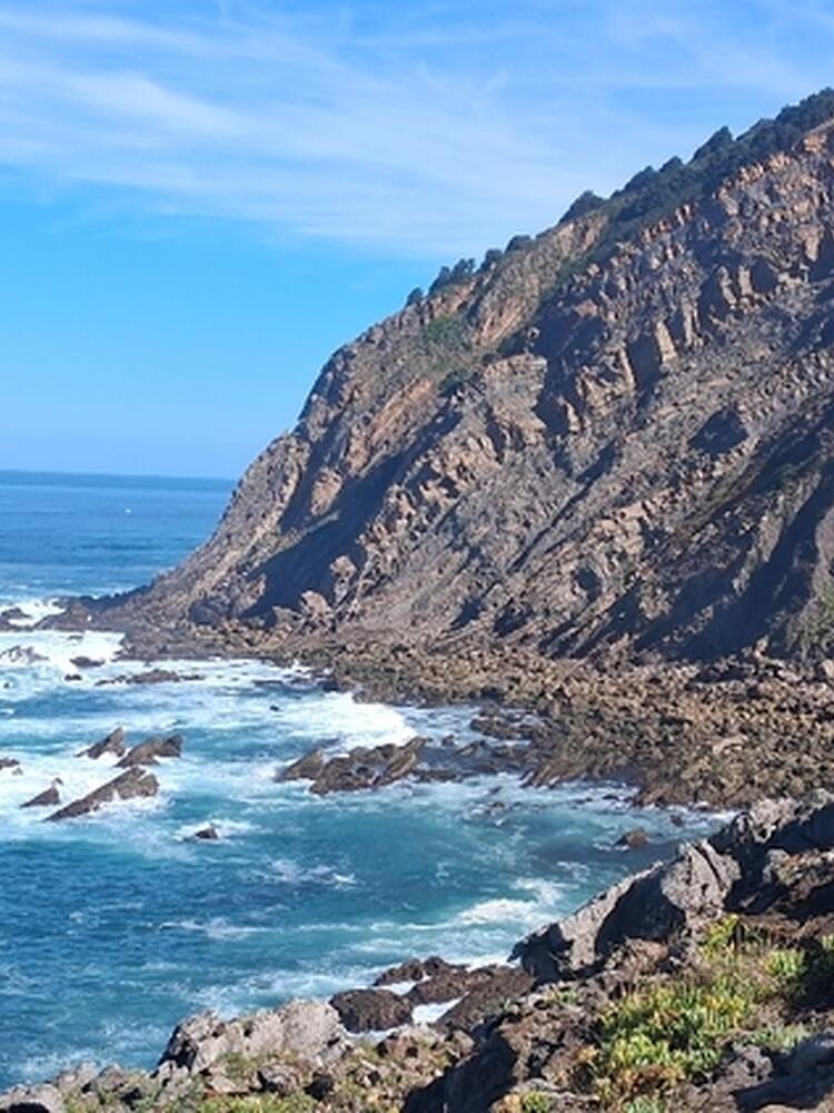 Foto de perfil de Aurori