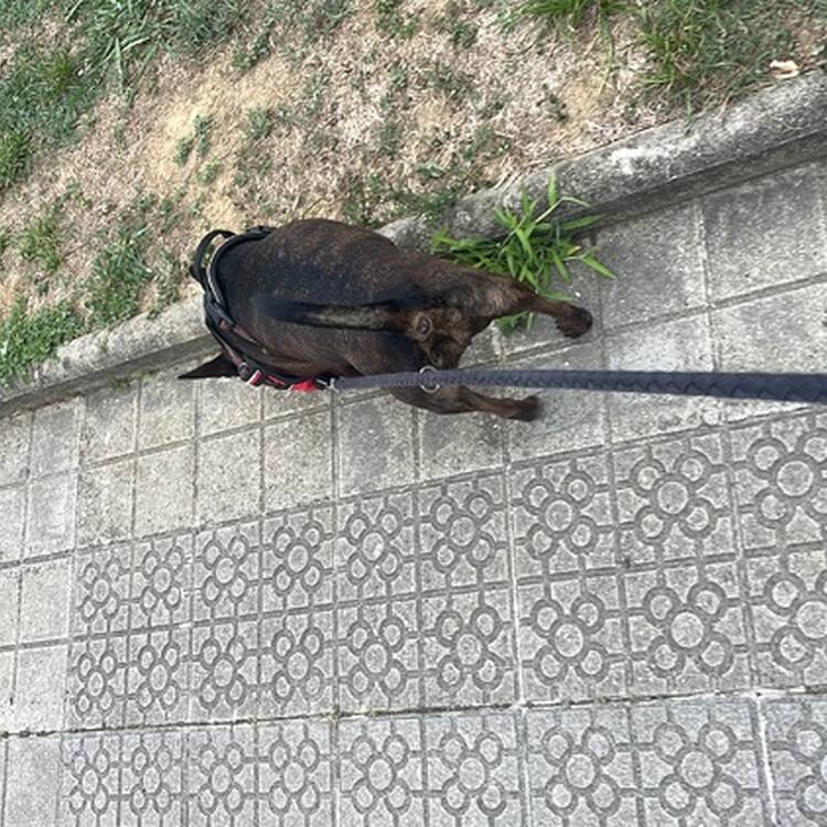 Foto de perfil de REHEMA