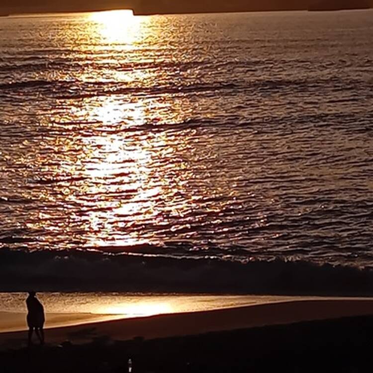 Foto de perfil de Amelia