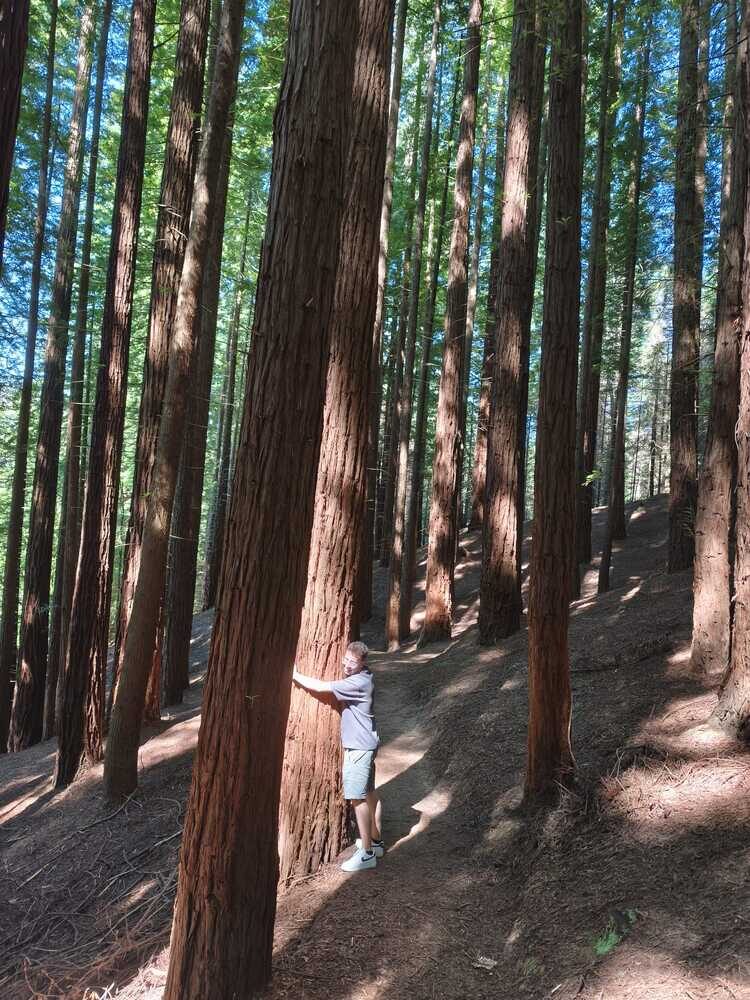 Foto de perfil de Ander