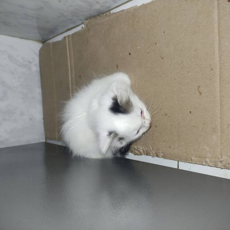 Foto de perfil de Iván