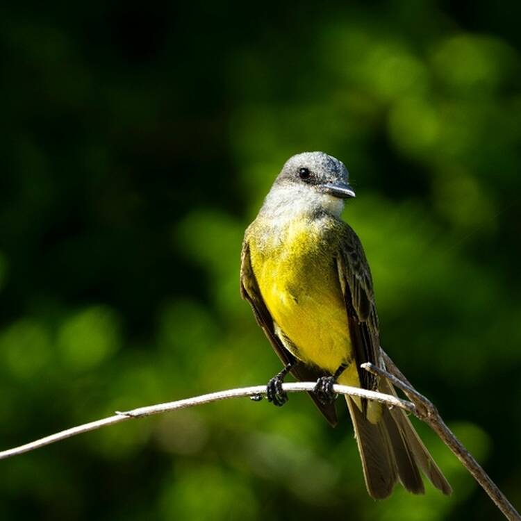 Foto de perfil de Oier
