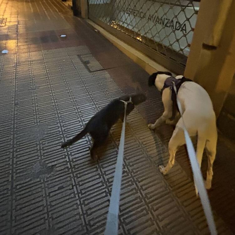 Foto de perfil de Itzi