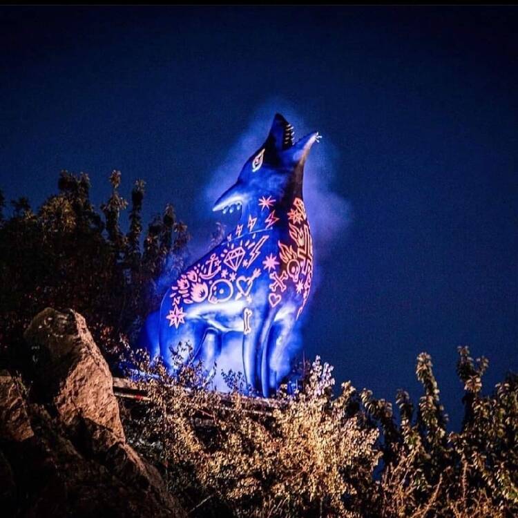 Foto de perfil de Lady Blue