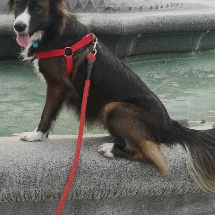 Foto de perfil de Jesica