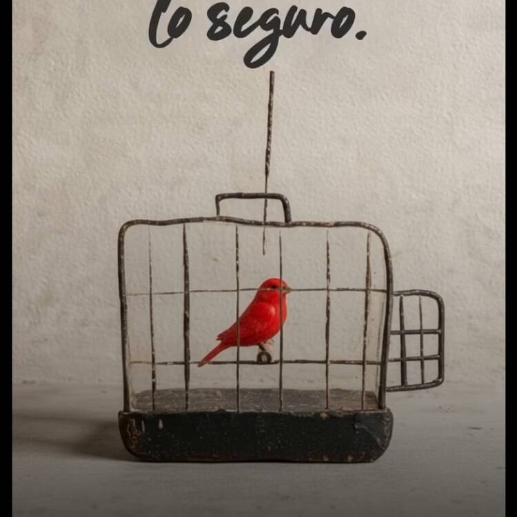 Foto de perfil de Gema