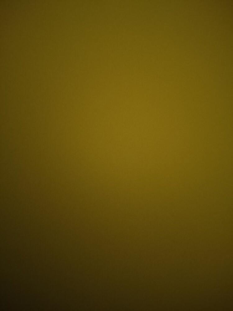 Foto de perfil de Jaime