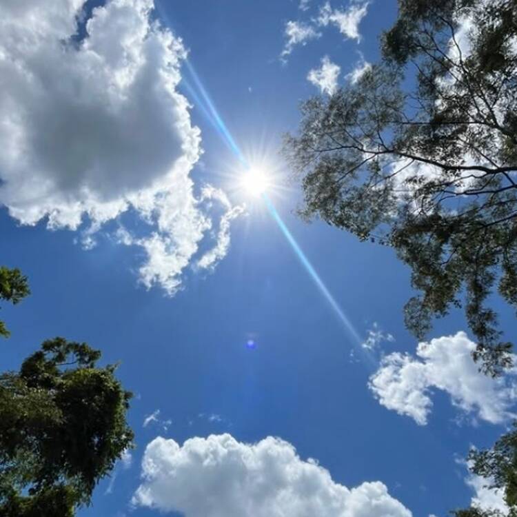 Foto de perfil de Maite