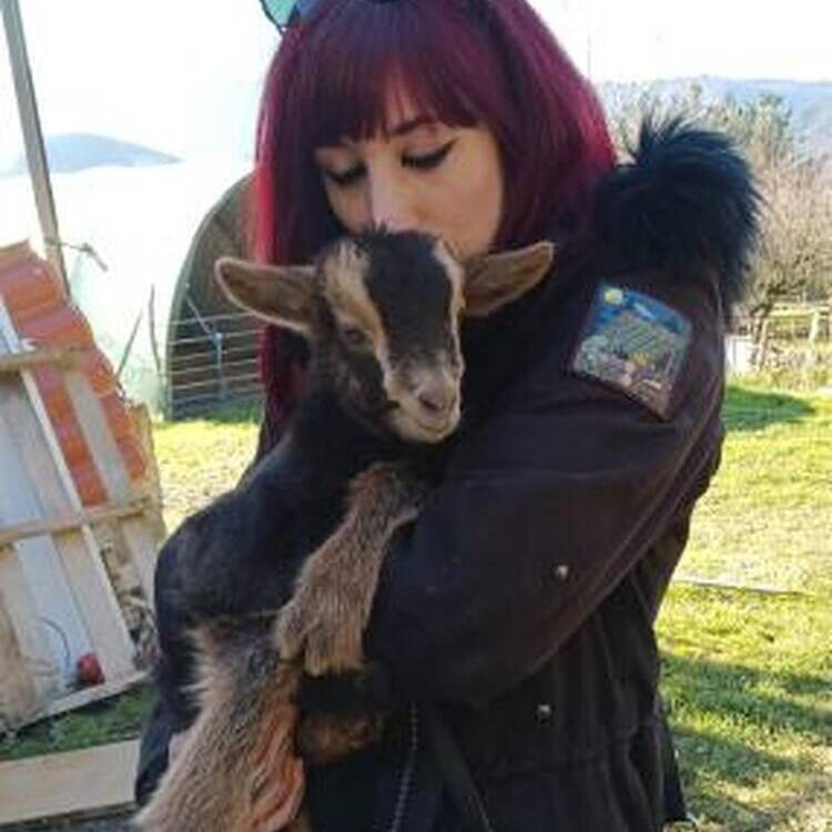 Foto de perfil de nahikari