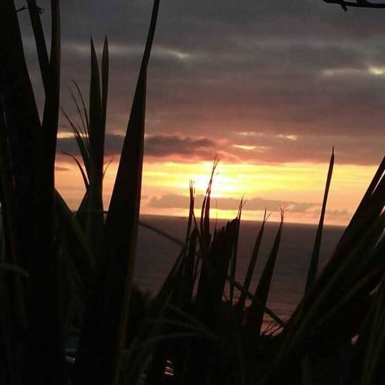 Foto de perfil de Playa