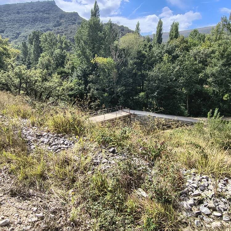 Foto de perfil de Vega