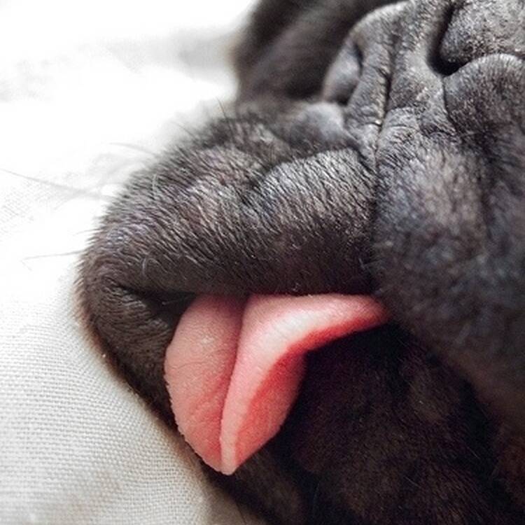 Foto de perfil de Anne