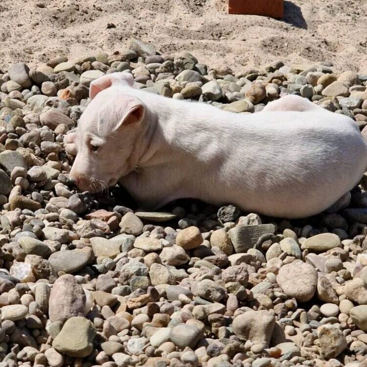 Foto de perfil de Gracy