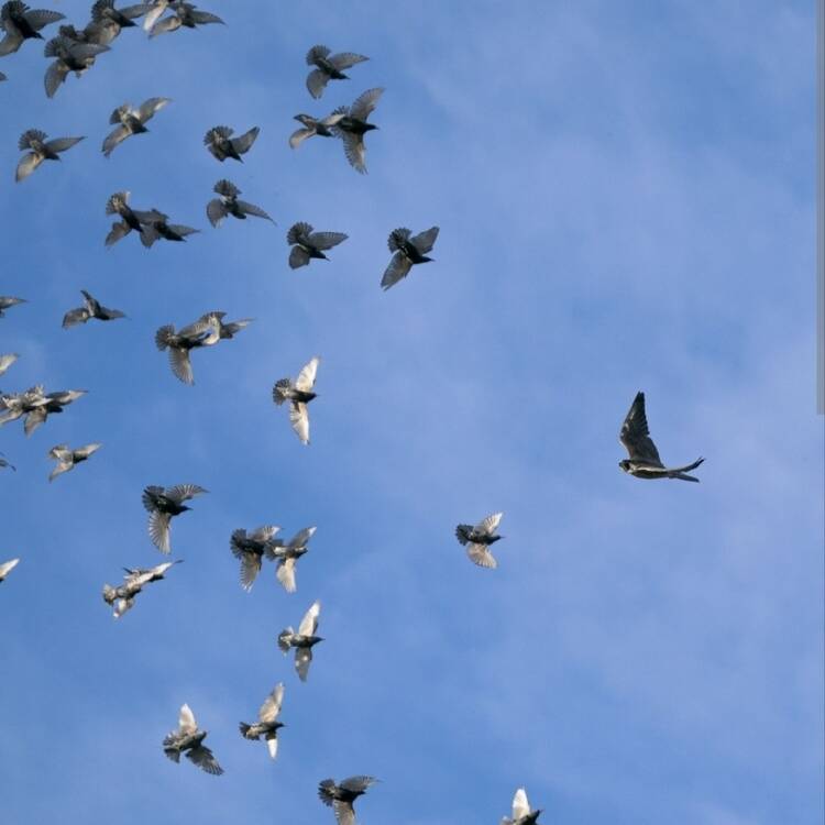 Foto de perfil de Eli
