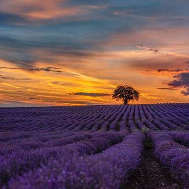 Foto de perfil de Bilbaína