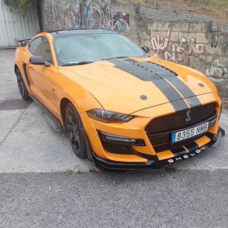 Foto de perfil de Tester