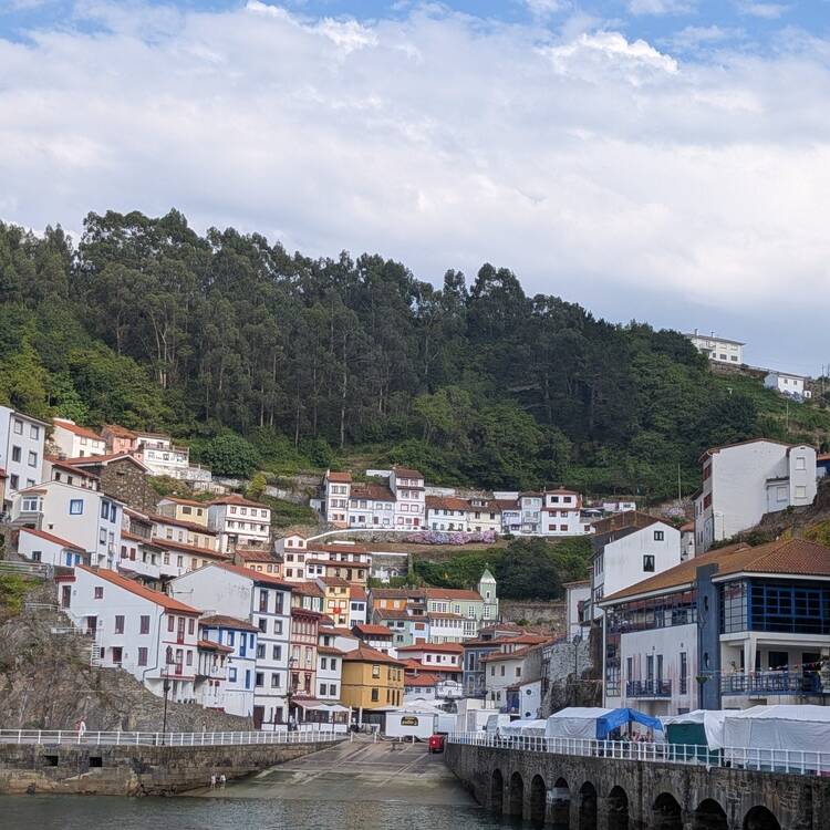 Foto de perfil de Cristi
