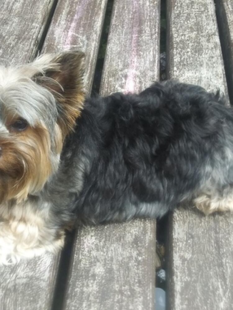 Foto de perfil de LaraKira