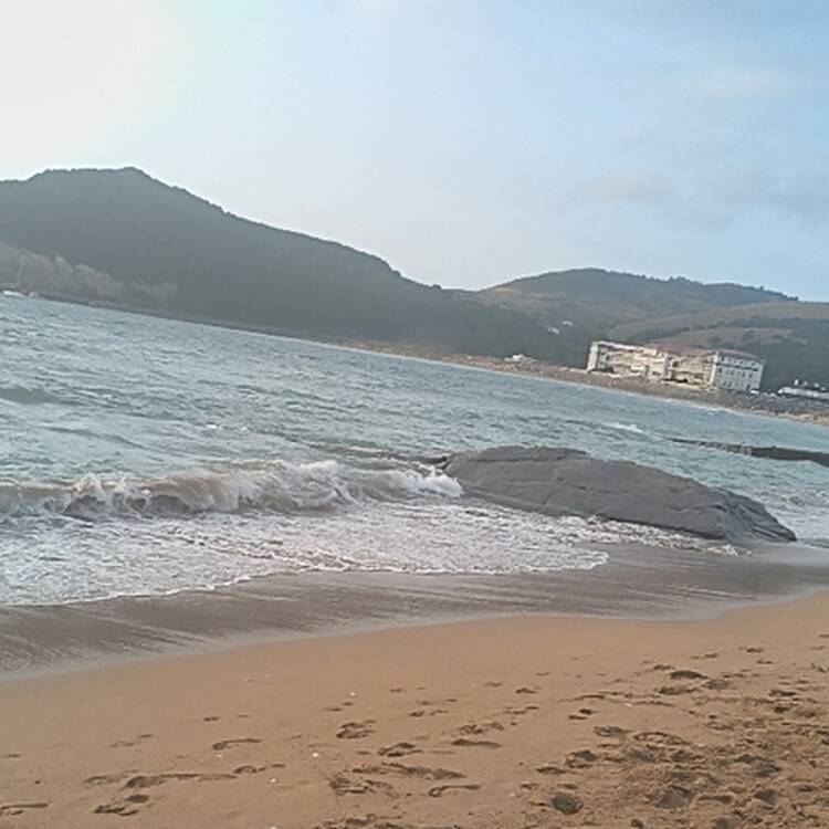 Foto de perfil de Marcelus