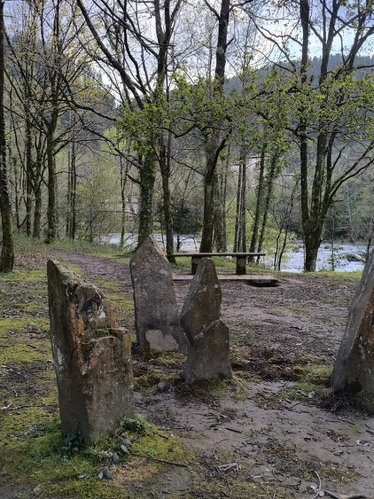 Foto de perfil de Begoña
