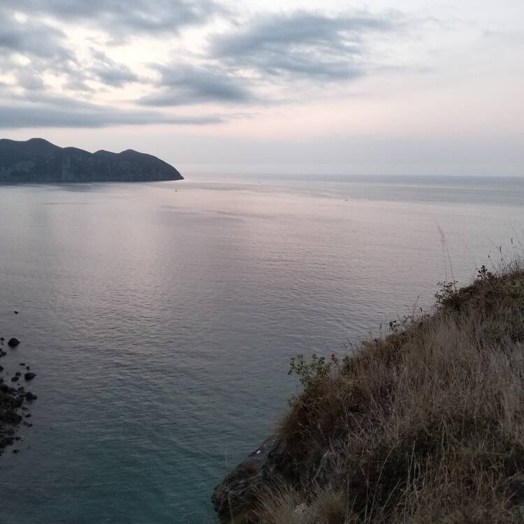 Foto de perfil de Sol