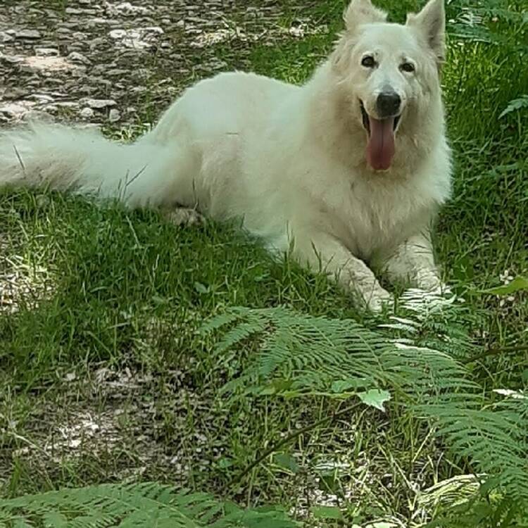 Foto de perfil de Yolanda