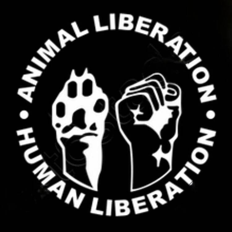 Foto de perfil de Vegan