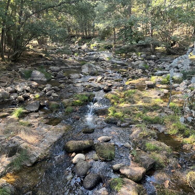 Foto de perfil de edorta