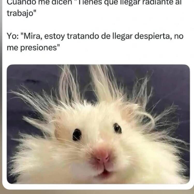 Foto de perfil