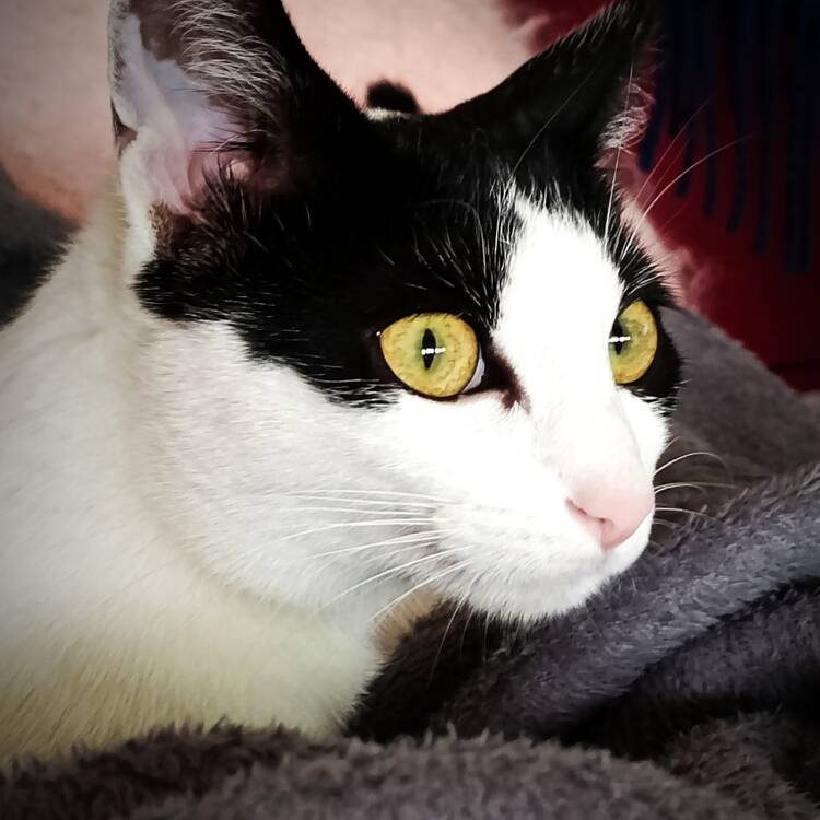 Foto de perfil