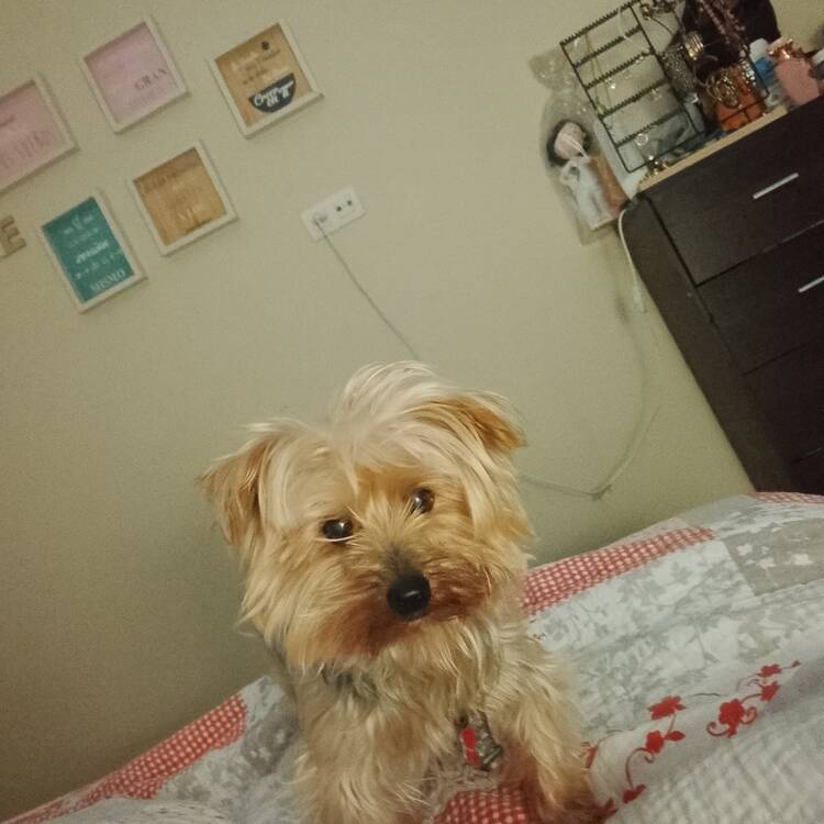 Foto de perfil