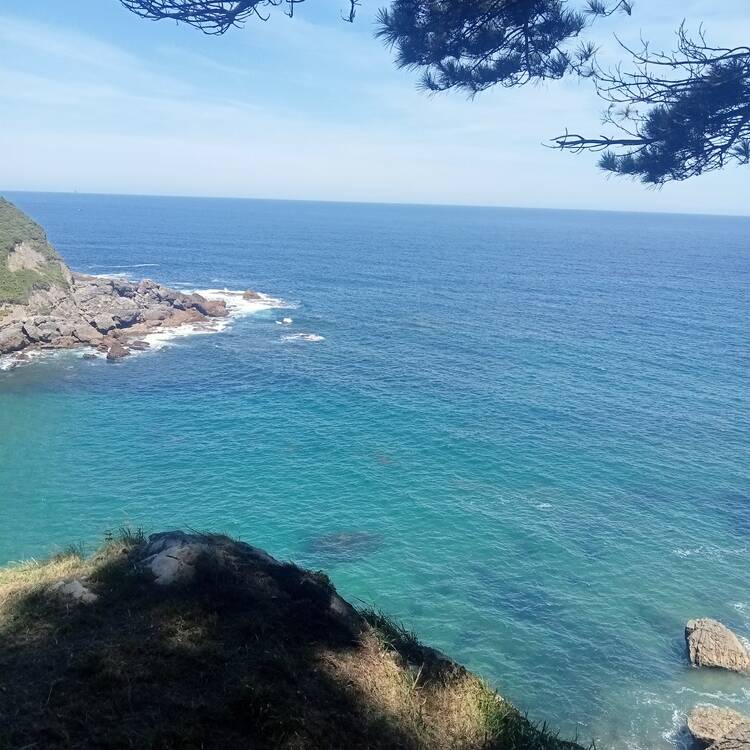 Foto de perfil de marieli