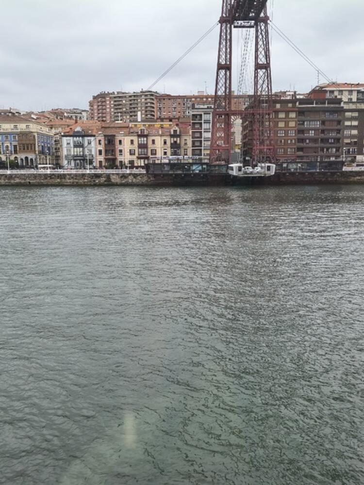 Foto de perfil de Mertxe