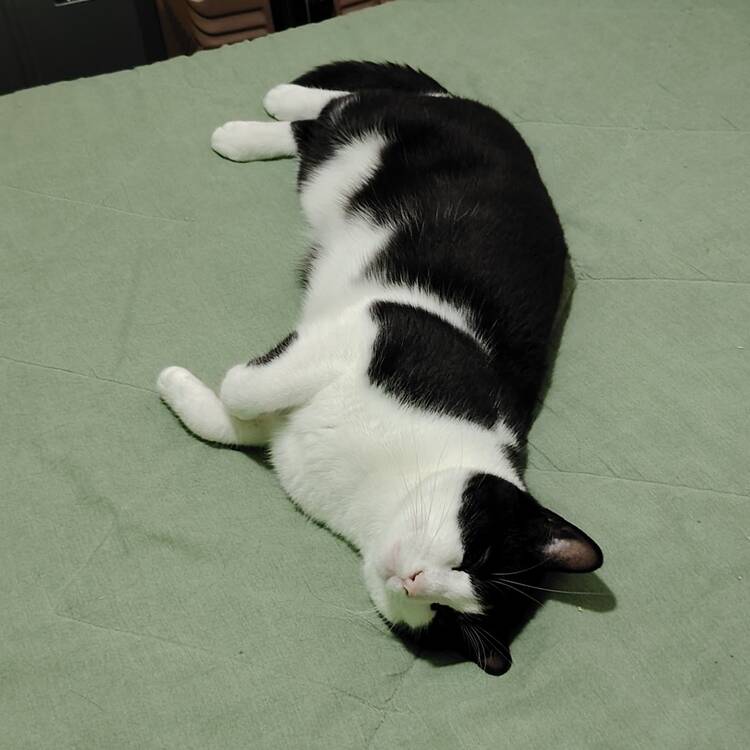 Foto de perfil de Lucia