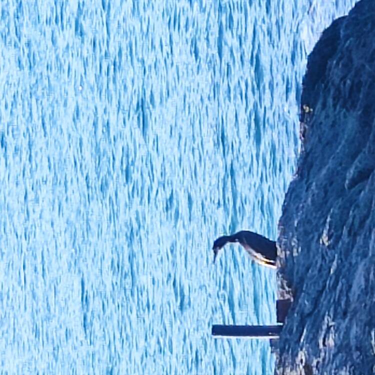 Foto de perfil de Jon