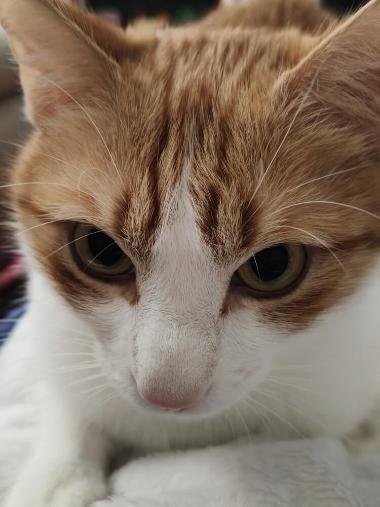 Foto de perfil de Ni