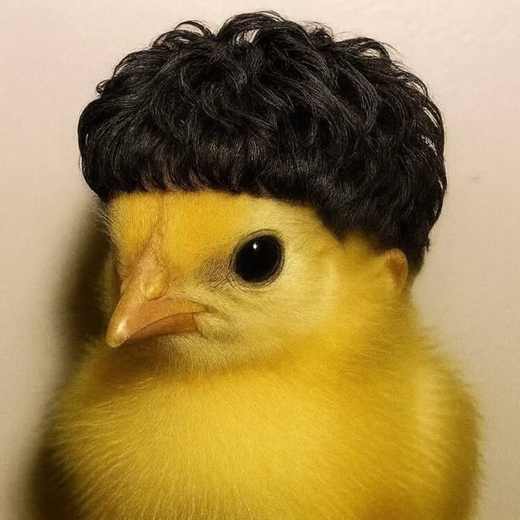 Foto de perfil de Al0099