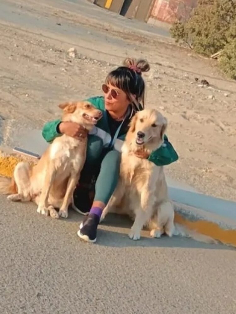 Foto de perfil de Carola