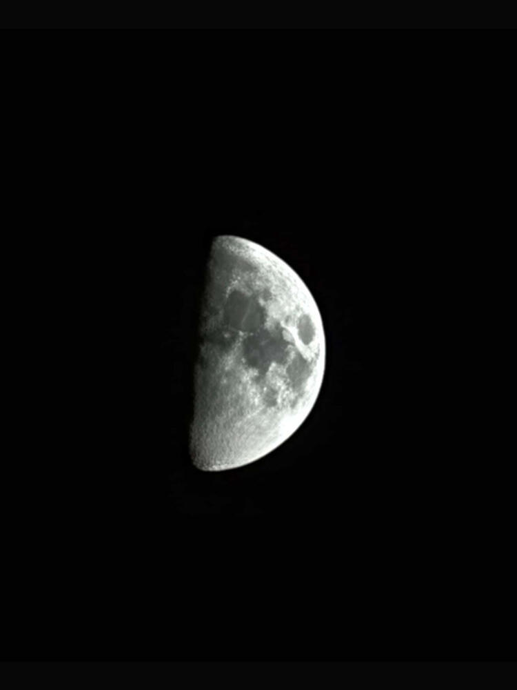 Foto de perfil de Luna
