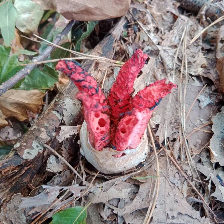 Foto de perfil de Antuan