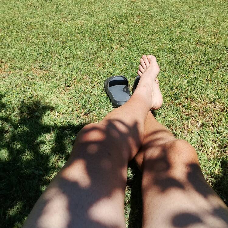 Foto de perfil de Vive y deja vivir
