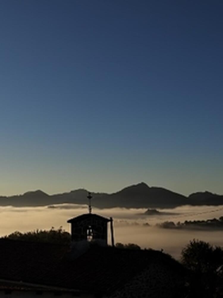 Foto de perfil de Pedro Mari