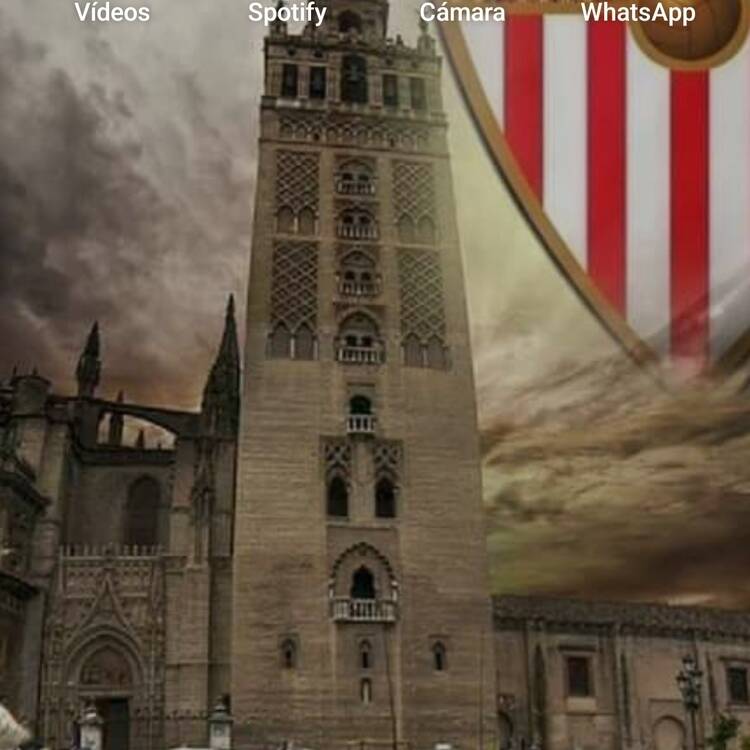 Foto de perfil de Jose