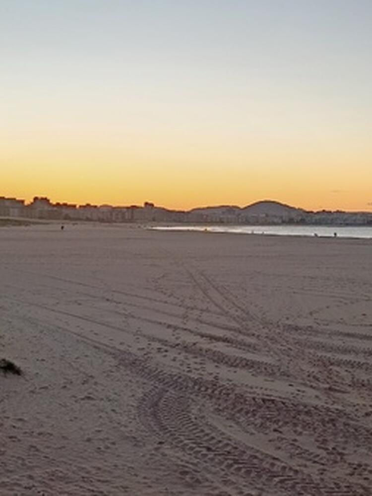 Foto de perfil de Yolanda